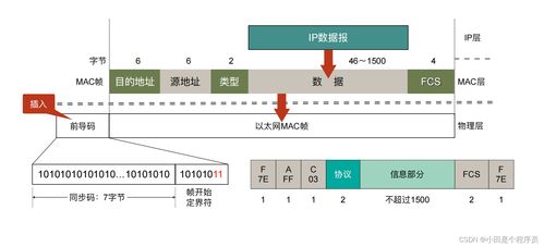 數(shù)據(jù)鏈路層 計(jì)算機(jī)網(wǎng)絡(luò)技術(shù)開發(fā)的基石與前沿